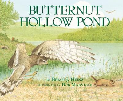 Cover for Brian J. Heinz · Butternut Hollow Pond (Millbrook Picture Books) (Paperback Book) (2006)