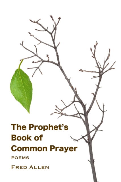 The Prophet's Book of Common Prayer - Fred Allen - Kirjat - Lulu.com - 9781300447931 - maanantai 3. joulukuuta 2012