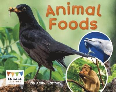 Cover for Kelly Gaffney · Animal Foods - Engage Literacy Red - Extension B (Paperback Book) (2019)