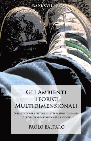 Cover for Paolo Baltaro · Gli Ambienti Teorici Multidimensionali (Paperback Book) (2016)