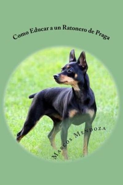 Cover for Marcos Mendoza · Como Educar a un Ratonero de Praga (Paperback Book) (2017)