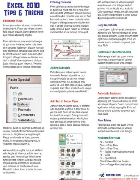 Excel 2010 Laminated Tip Card: Tips and Tricks from MrExcel - Bill Jelen - Books - Holy Macro! Books - 9781615479931 - October 1, 2013