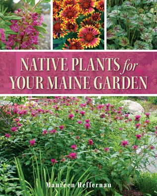 Cover for Maureen Heffernan · Native Plants for Your Maine Garden (Paperback Book) (2023)