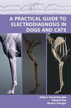 Cover for Vandenberghe Ha (c)Lene · A Practical Guide to Electrodiagnosis in Dogs and Cats (Paperback Book) (2025)