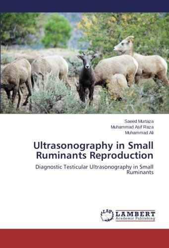 Cover for Muhammad Ali · Ultrasonography in Small Ruminants Reproduction: Diagnostic Testicular Ultrasonography in Small Ruminants (Pocketbok) (2014)