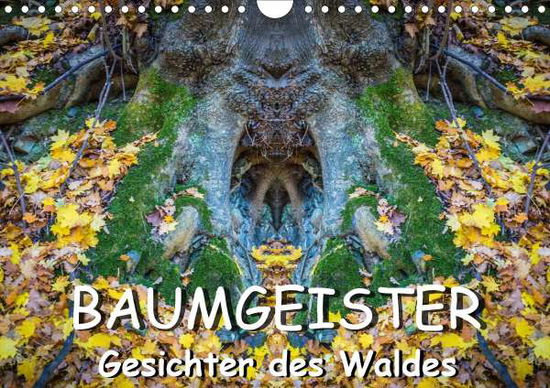 Cover for Döring · Baumgeister, Gesichter des Walde (Book)