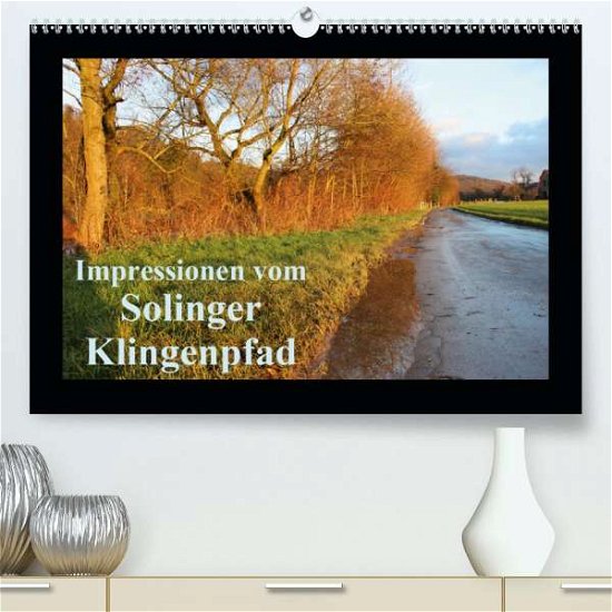 Impressionen vom Solinger Klingen - Bauch - Books -  - 9783672526931 - 