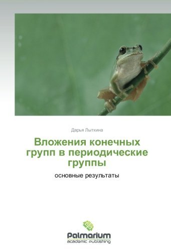 Cover for Dar'ya Lytkina · Vlozheniya Konechnykh Grupp V Periodicheskie Gruppy: Osnovnye Rezul'taty (Paperback Bog) [Russian edition] (2012)