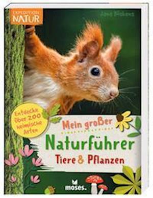 Cover for Jana Böskens · Mein großer Naturführer Tiere &amp; Pflanzen (Book) (2023)