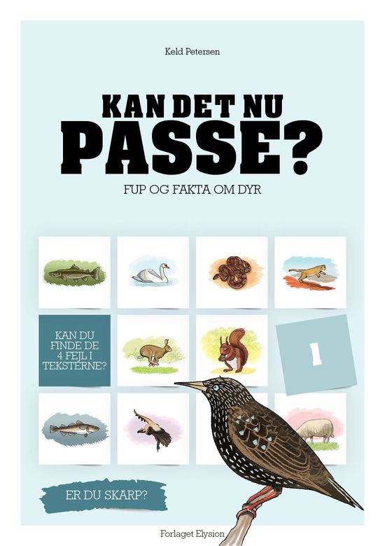 Kan det nu passe? 1: Kan det nu passe? 1 - Keld Petersen - Bøger - Forlaget Elysion - 9788777194931 - 2010