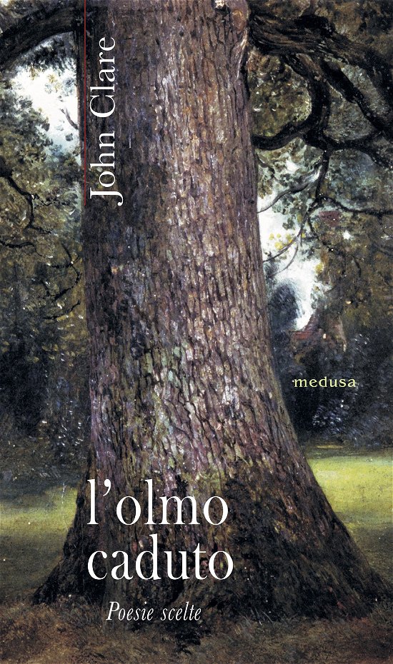 Cover for John Clare · L' Olmo Caduto. Poesie Scelte (Book)