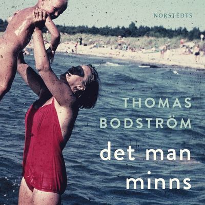 Cover for Thomas Bodström · Det man minns (Audiobook (CD)) (2014)