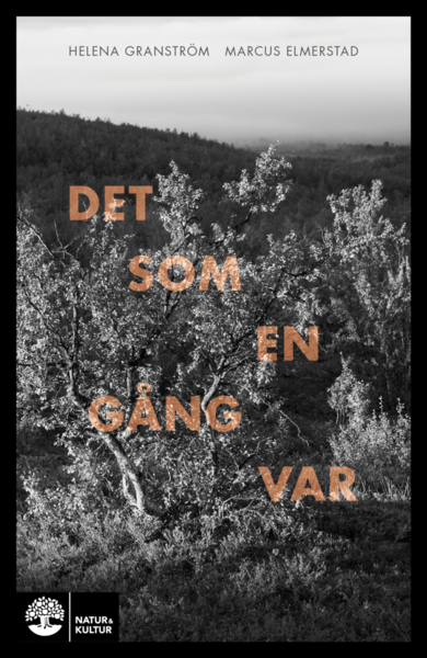 Cover for Helena Granström · Det som en gång var (Book) (2018)