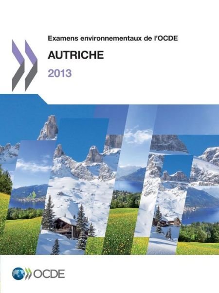Cover for Oecd Organisation for Economic Co-operation and Development · Examens Environnementaux De L'ocde : Autriche 2013 (Paperback Book) [French edition] (2014)