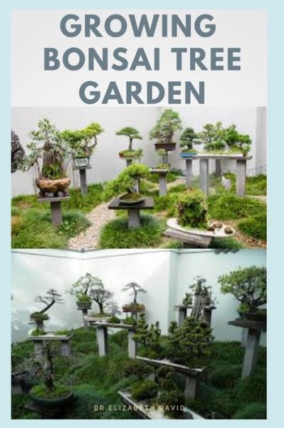 Cover for Dr Elizabeth David · Growing Bonsai Tree Garden (Paperback Book) (2020)