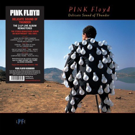Cover for Pink Floyd · Delicate Sound of Thunder (LP) (2017)