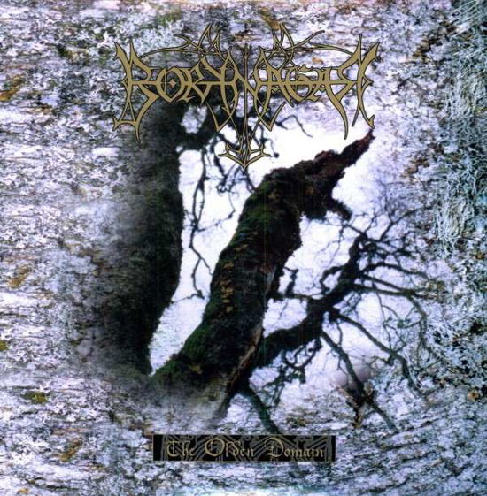 Olden Domain - Borknagar - Musik - BOB - 0803341317932 - 24. august 2010