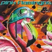 Cover for Pink Flamingos · Nice Boys Don't Play R'n' (CD) (2008)