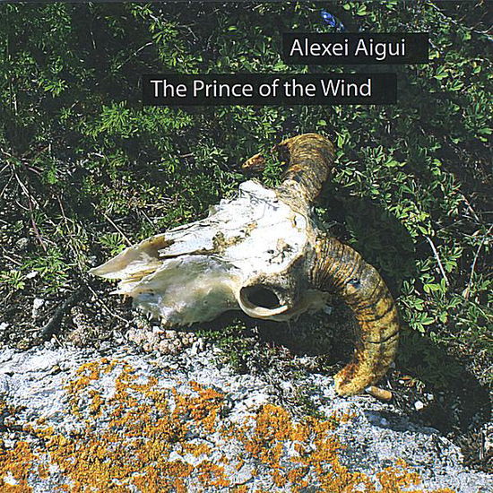 Cover for Alexei Aigui · Prince of the Wind (CD) (2008)