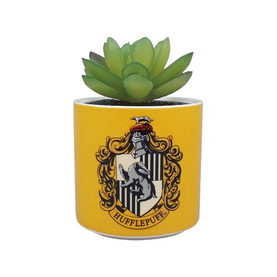Hufflepuff (Plant Pot Faux Boxed 6.5 Cm / Pianta Finta Con Vaso) - Harry Potter: Half Moon Bay - Koopwaar -  - 5055453494932 - 