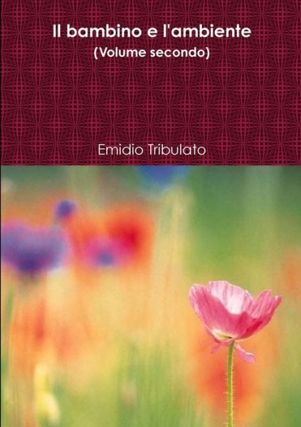 Cover for Emidio Tribulato · Il bambino e l'ambiente (Paperback Book) (2017)