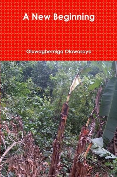 Cover for Oluwagbemiga Olowosoyo · New Beginning (Book) (2013)