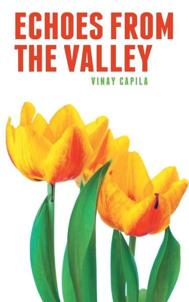 Cover for Vinay Capila · Echoes from the Valley (Paperback Book) (2014)