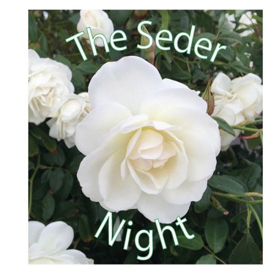 Cover for Orna · The Seder Night (Paperback Bog) (2016)
