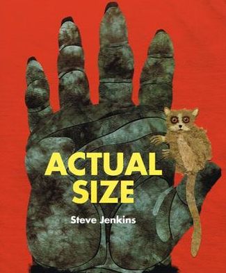 Cover for Steve Jenkins · Actual Size (Paperback Book) (2014)