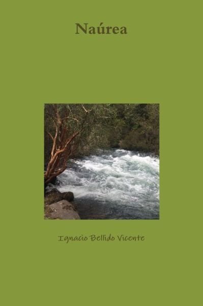 Cover for Ignacio Bellido Vicente · Naurea (Paperback Book) (2020)