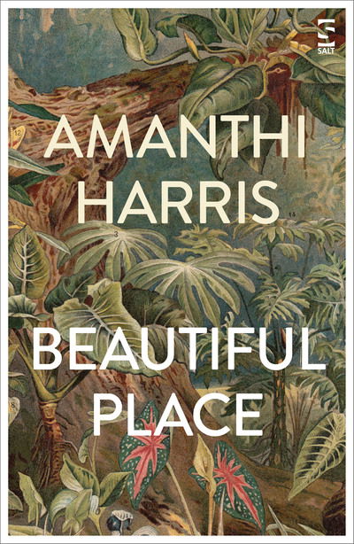 Cover for Amanthi Harris · Beautiful Place - Salt Modern Fiction (Paperback Book) (2019)