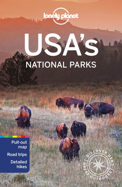 Lonely Planet USA's National Parks - National Parks Guide - Lonely Planet - Bøker - Lonely Planet Global Limited - 9781788688932 - 1. mars 2021