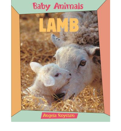 Cover for Angela Royston · Baby Animals Lamb (Paperback Book) [New edition] (2005)