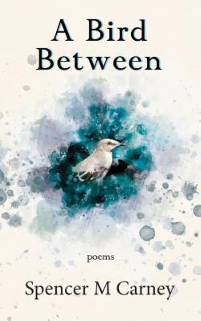 Cover for Spencer M Carney · A Bird Between (Pocketbok) (2017)