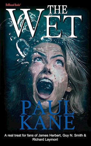 Wet - Paul Kane - Books - HellBound Books Publishing - 9781953905932 - August 16, 2024