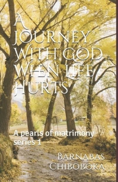 Cover for Barnabas Chiboboka · A Journey With God When Life Hurts (Paperback Book) (2018)