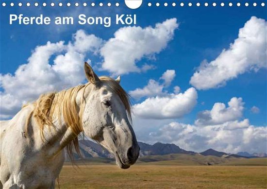 Cover for Rusch · Pferde am Song Köl (Wandkalender (Bog)