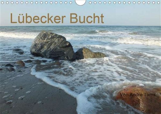 Cover for Tams · Lübecker Bucht (Wandkalender 2021 (Buch)