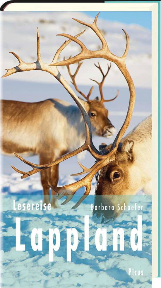 Lesereise Lappland - Schaefer - Books -  - 9783711710932 - 