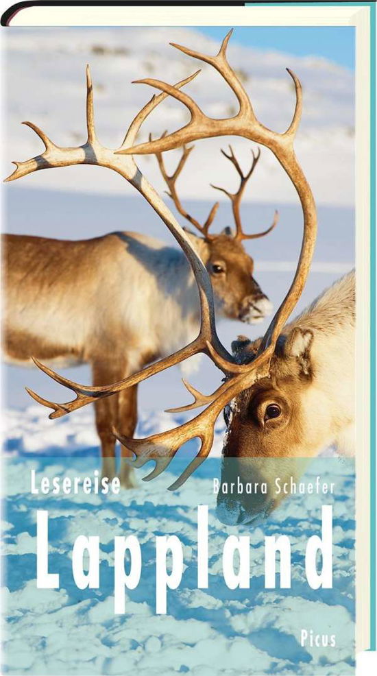 Cover for Schaefer · Lesereise Lappland (Bok)