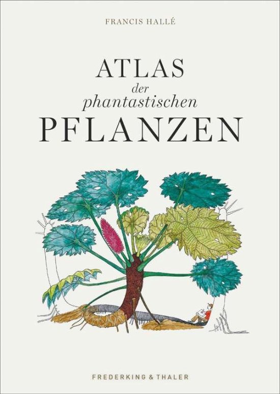 Cover for Hallé · Atlas der phantastischen Pflanzen (Bok)