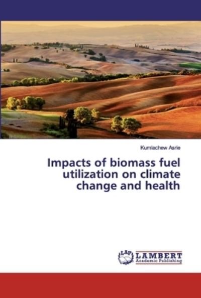 Cover for Asrie · Impacts of biomass fuel utilizati (Bog) (2019)