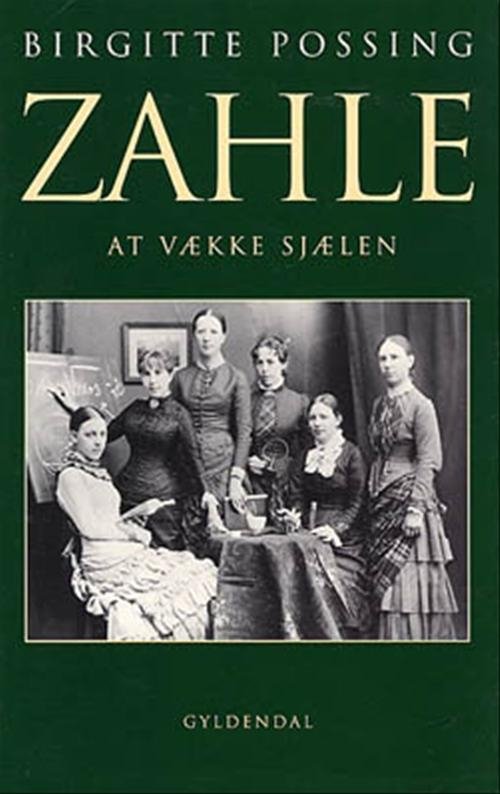 Cover for Birgitte Possing · Zahle (Sewn Spine Book) [1º edição] (2001)