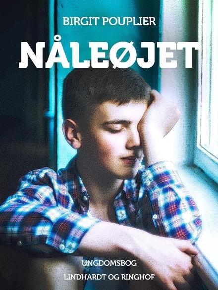 Cover for Birgit Pouplier · Totter-bøgerne: Nåleøjet (Sewn Spine Book) [1th edição] (2017)