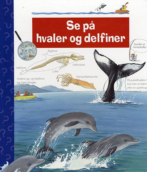 Cover for Doris Rübel · Se på hvaler og delfiner (Bound Book) [1st edition] [Indbundet] (2008)