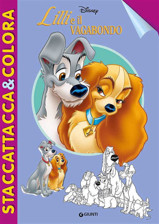 Cover for Disney · Lilli E Il Vagabondo (Staccattacca E Colora) (DVD)