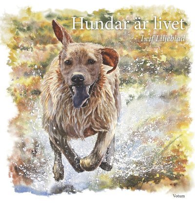 Cover for Leif Liljeblad · Hundar är livet (Innbunden bok) (2016)