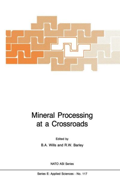 Cover for B a Wills · Mineral Processing at a Crossroads: Problems and Prospects - Nato Science Series E: (Paperback Book) [Softcover reprint of the original 1st ed. 1986 edition] (2011)