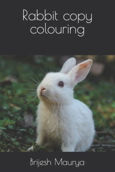 Rabbit copy colouring - Brijesh Maurya - Książki - Independently Published - 9798416743932 - 13 lutego 2022