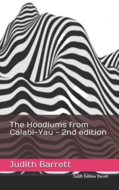 Cover for Judith Robbins Barrett · The Hoodlums from Calabi-Yau - 2nd edition (Paperback Bog) (2021)